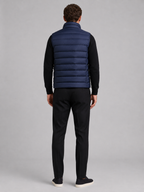 Men's puffer vest – Blue back view – Edward & Lawsen