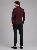 Men's V-neck cardigan – Wine back view – Edward & Lawsen