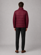 Men's puffer jacket – Wine back view – Edward & Lawsen
