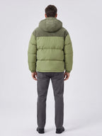 Men's padded puffer jacket – Green back view – Edward & Lawsen